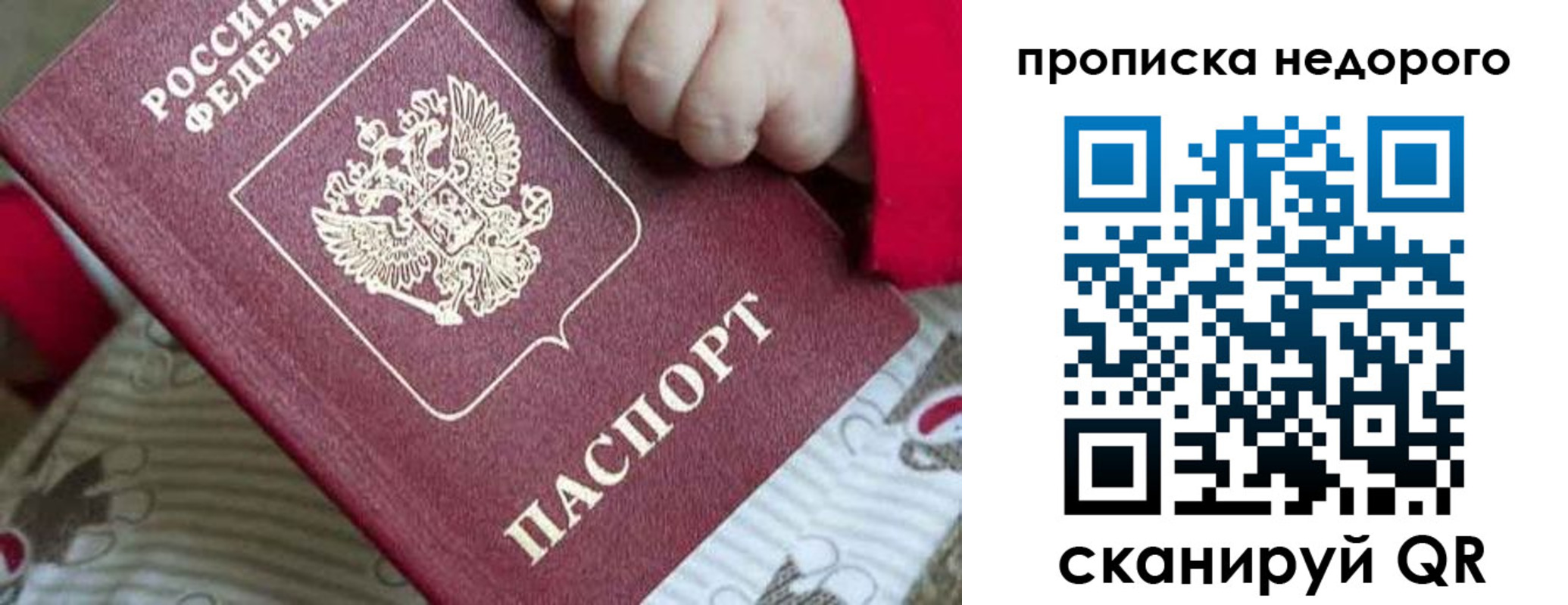прописка в Луге